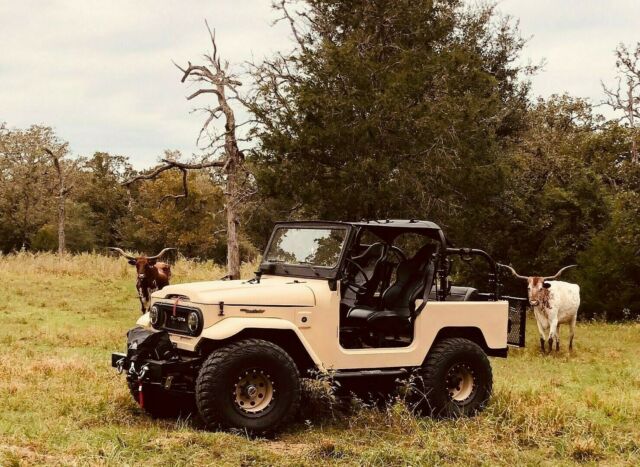 Toyota Land Cruiser 1976 image number 32