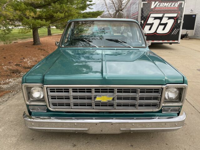 Chevrolet C-10 1977 image number 29
