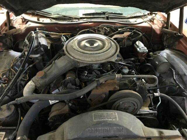 Ford LTD II 1979 image number 29