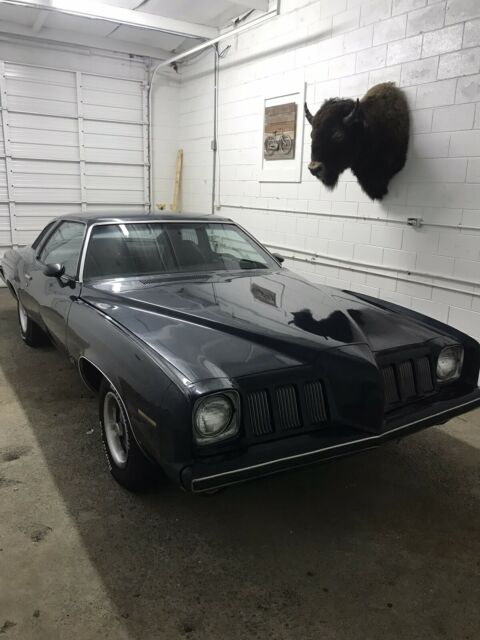 Pontiac Grand Am 1973 image number 30