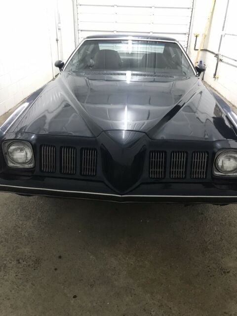 Pontiac Grand Am 1973 image number 7