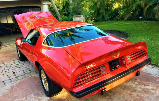 Pontiac Firebird 1975 image number 16