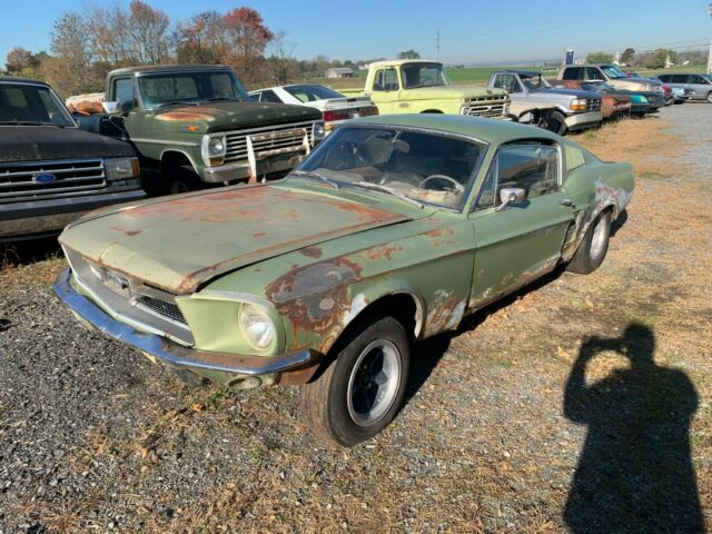 Ford Mustang 1967 image number 12
