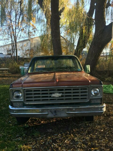Chevrolet C-10 1976 image number 2