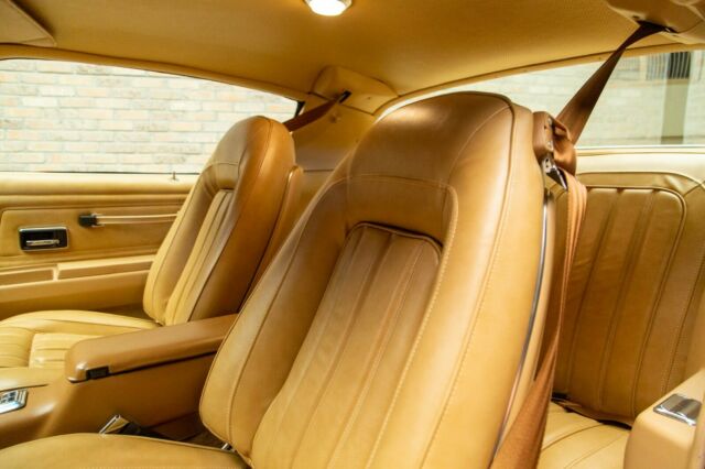 Pontiac Trans Am 1976 image number 14