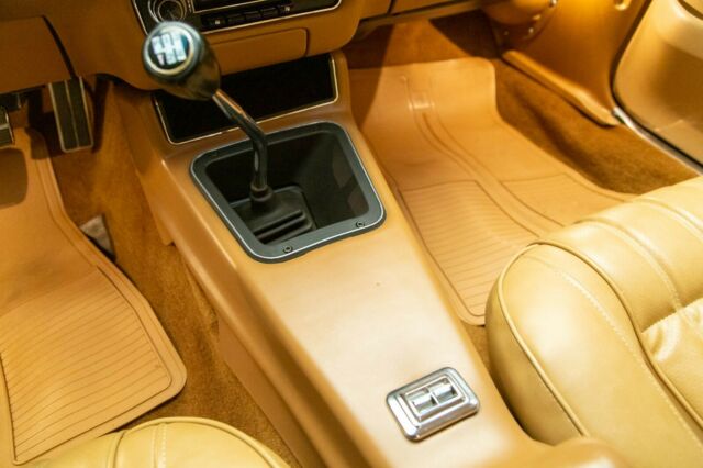 Pontiac Trans Am 1976 image number 18