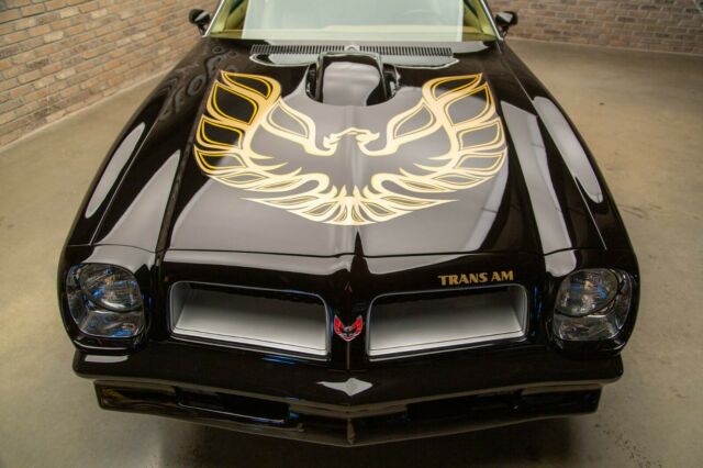 Pontiac Trans Am 1976 image number 31