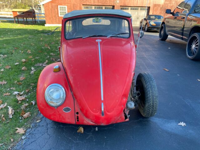 Volkswagen Beetle (Pre-1980) 1965 image number 32