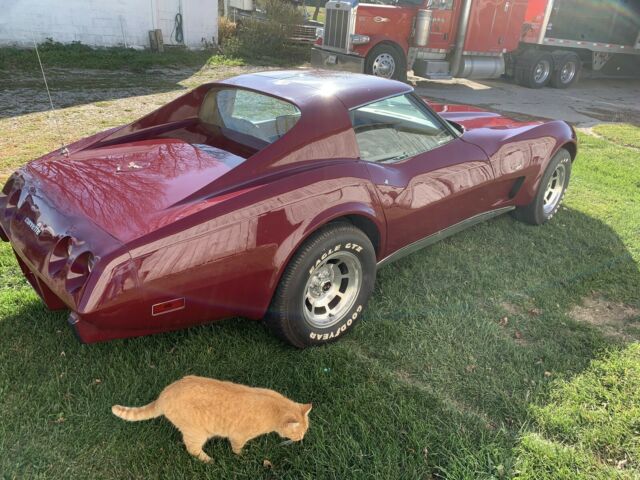 Chevrolet Corvette 1977 image number 20