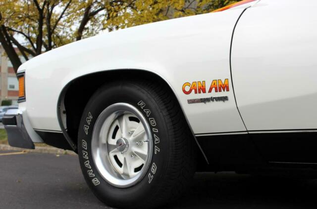 Pontiac Can Am 1977 image number 18