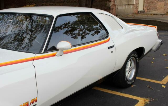 Pontiac Can Am 1977 image number 44