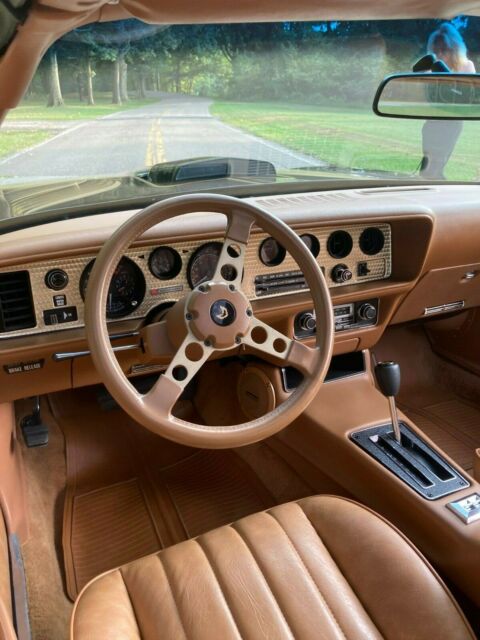 Pontiac Trans Am 1979 image number 18