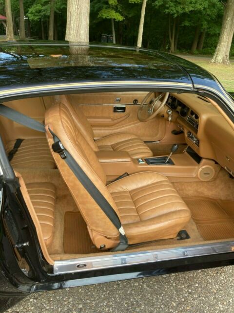 Pontiac Trans Am 1979 image number 20