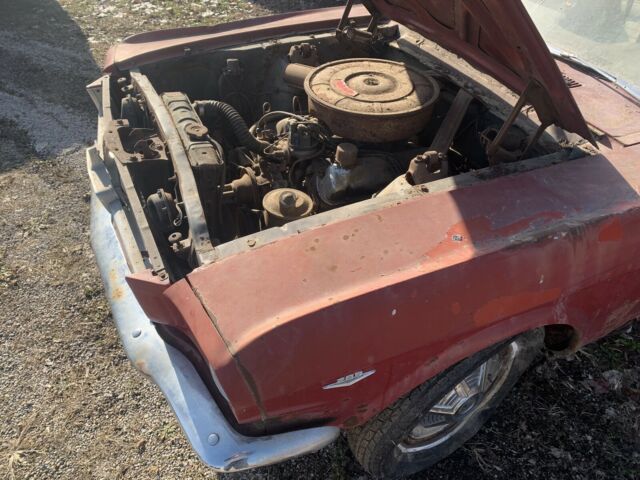 Ford Mustang 1965 image number 3