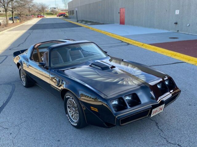 Pontiac Trans Am 1979 image number 12
