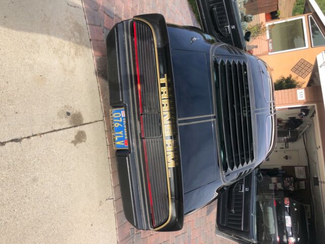 Pontiac Trans Am 1979 image number 1
