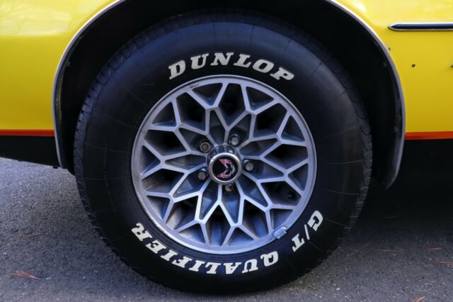 Pontiac Firebird 1977 image number 13
