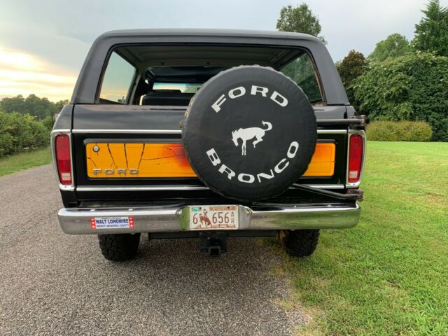 Ford Bronco 1979 image number 3