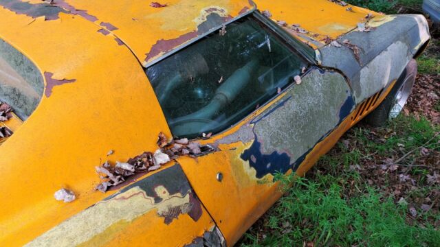 Chevrolet Corvette 1969 image number 23