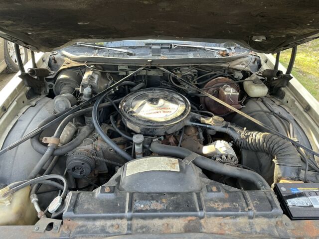 Oldsmobile Cutlass 1974 image number 21