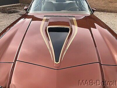 Chevrolet Camaro 1978 image number 22