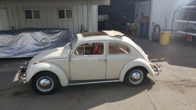 Volkswagen Beetle - Classic 1962 image number 25