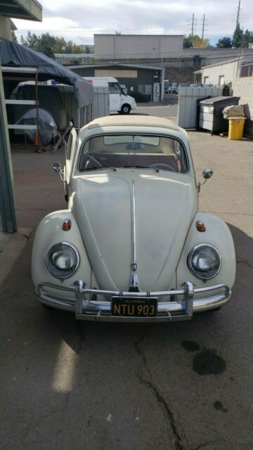 Volkswagen Beetle - Classic 1962 image number 29