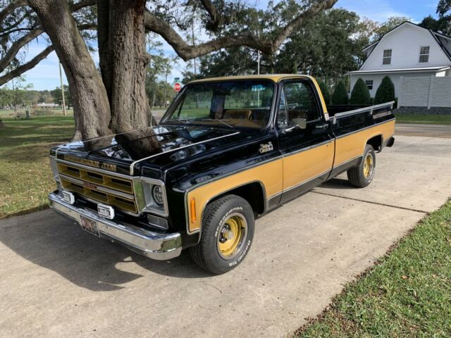 GMC Sierra Classic 1975 image number 1