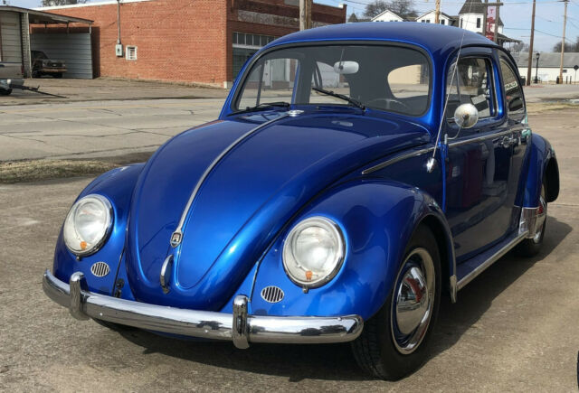Volkswagen Beetle - Classic 1964 image number 16