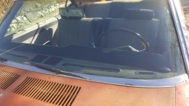 Buick Skylark 1969 image number 6