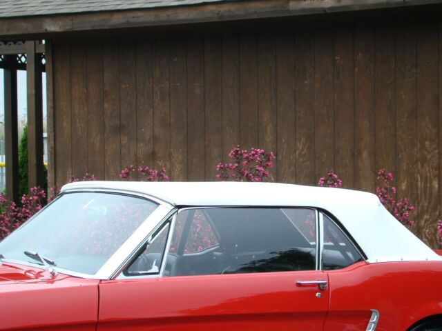 Ford Mustang 1964 image number 29