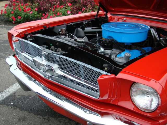 Ford Mustang 1964 image number 4