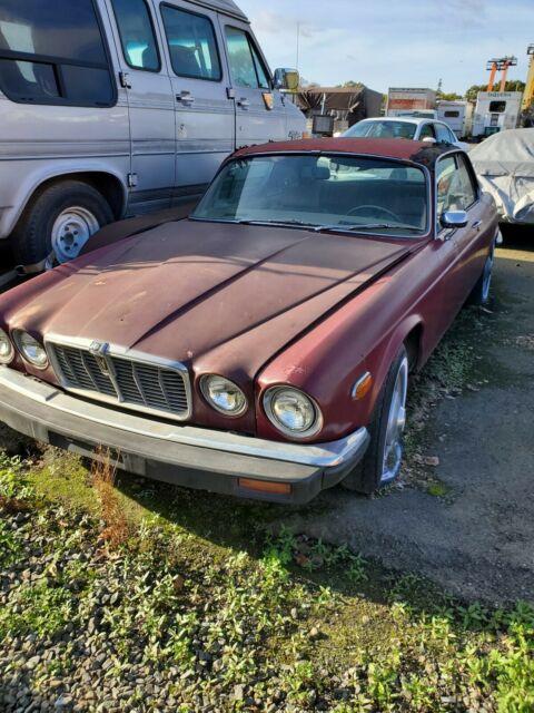 Jaguar XJ12 1975 image number 1