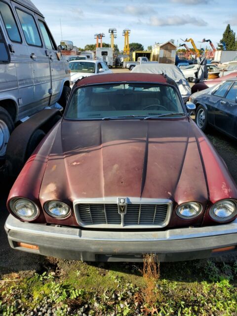 Jaguar XJ12 1975 image number 7