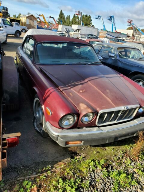 Jaguar XJ12 1975 image number 9