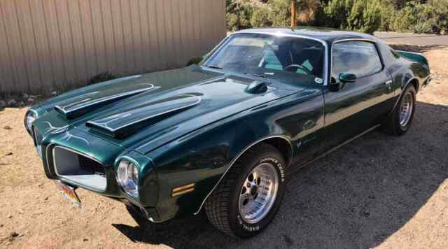 Pontiac Firebird Formula 1972 image number 14