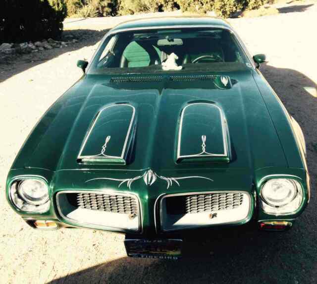 Pontiac Firebird Formula 1972 image number 16