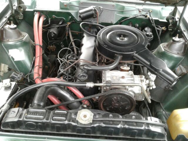 AMC Hornet 1973 image number 10