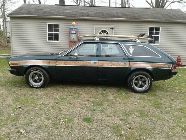 AMC Hornet 1973 image number 15