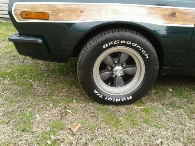 AMC Hornet 1973 image number 22