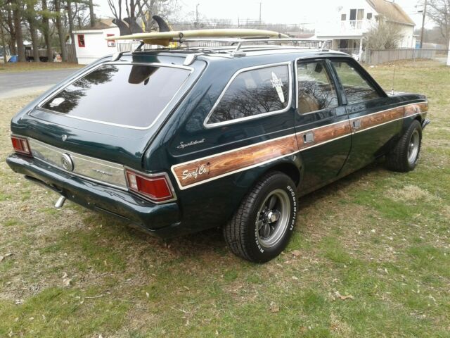 AMC Hornet 1973 image number 5