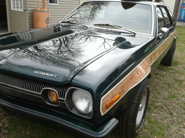AMC Hornet 1973 image number 6