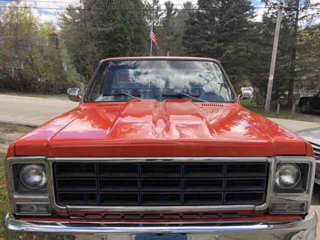 Chevrolet Pickup 1978 image number 6
