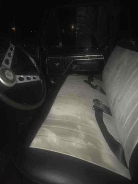 Ford F250 1973 image number 11
