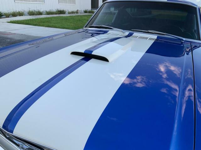 Ford Mustang Fastback GT350 1965 image number 36