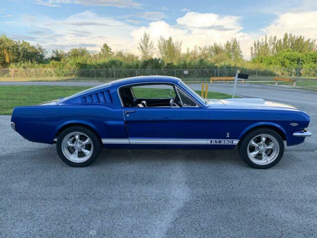 Ford Mustang Fastback GT350 1965 image number 6