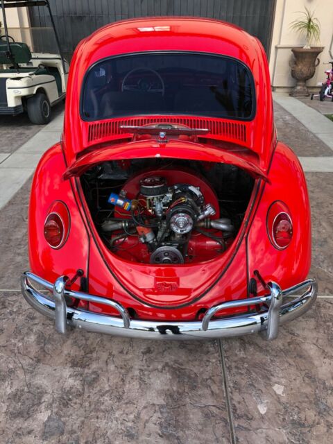 Volkswagen Beetle - Classic 1965 image number 16