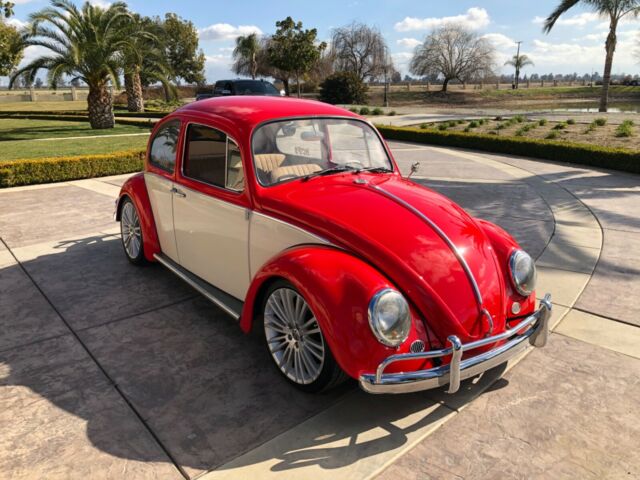 Volkswagen Beetle - Classic 1965 image number 2