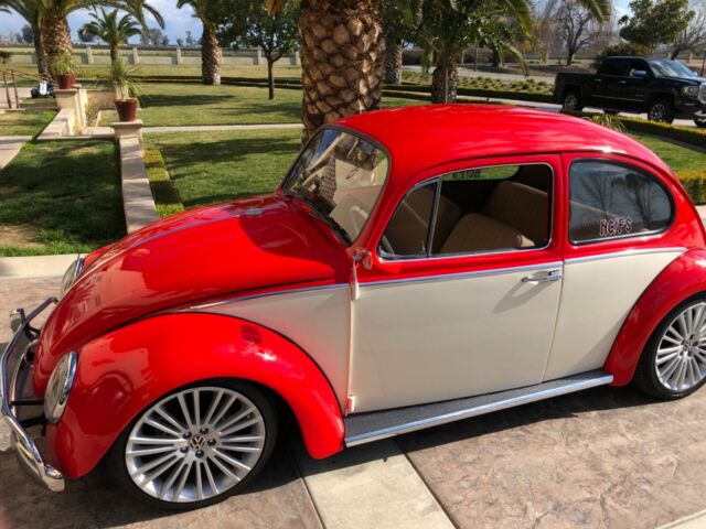 Volkswagen Beetle - Classic 1965 image number 41