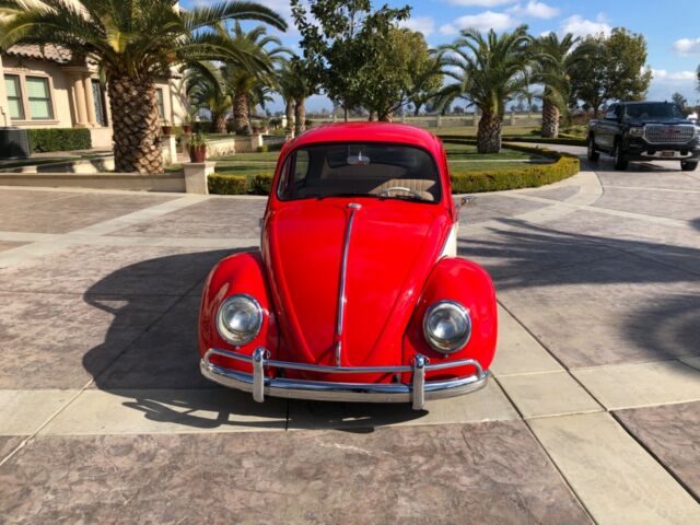 Volkswagen Beetle - Classic 1965 image number 6